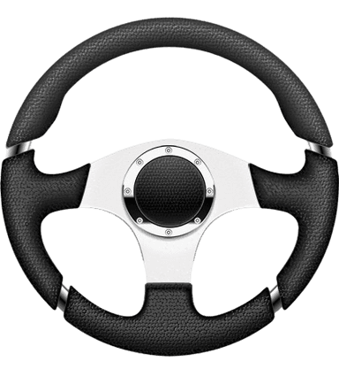 Vehicle Steering Wheel